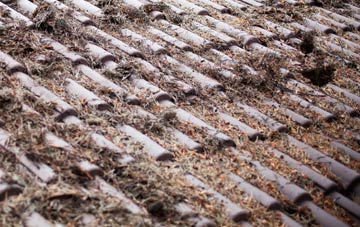 Youngs End roof cleaning companies